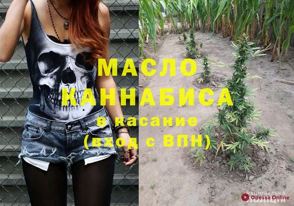 стафф Касимов