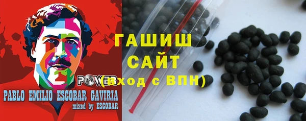 стафф Касимов