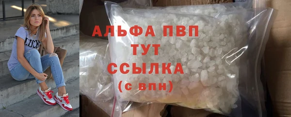 стафф Касимов