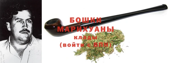 стафф Касимов