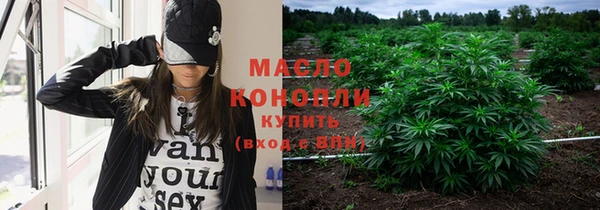 стафф Касимов