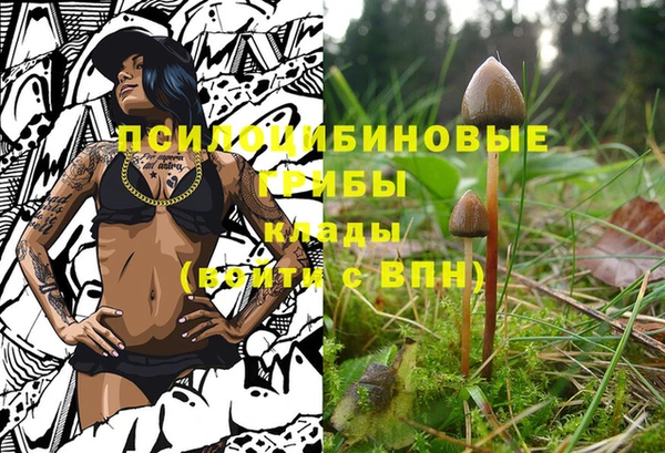 метамфетамин Карпинск