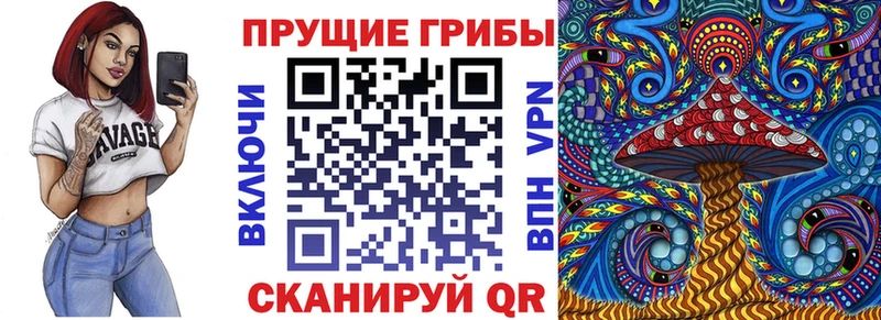 Галлюциногенные грибы Psilocybine cubensis  Купить где  Артёмовский 